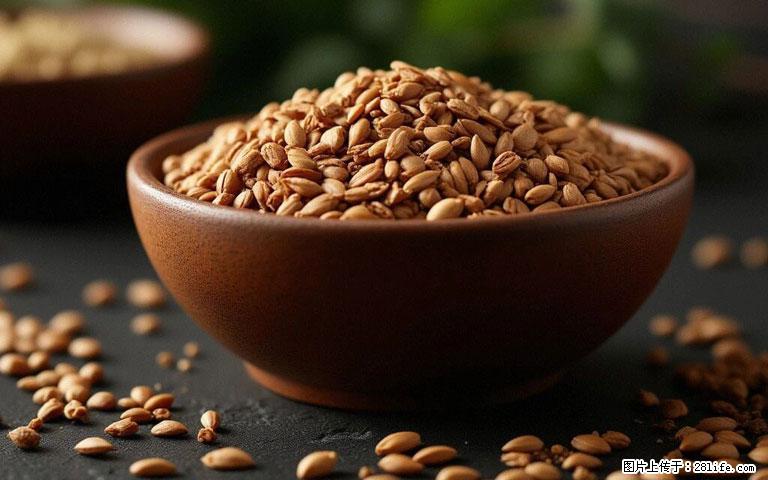 这三苦是三高“克星”,心血管干净不易堵!每天吃一点,指标慢慢降下来~ - 银川生活资讯 - 银川28生活网 yinchuan.28life.com