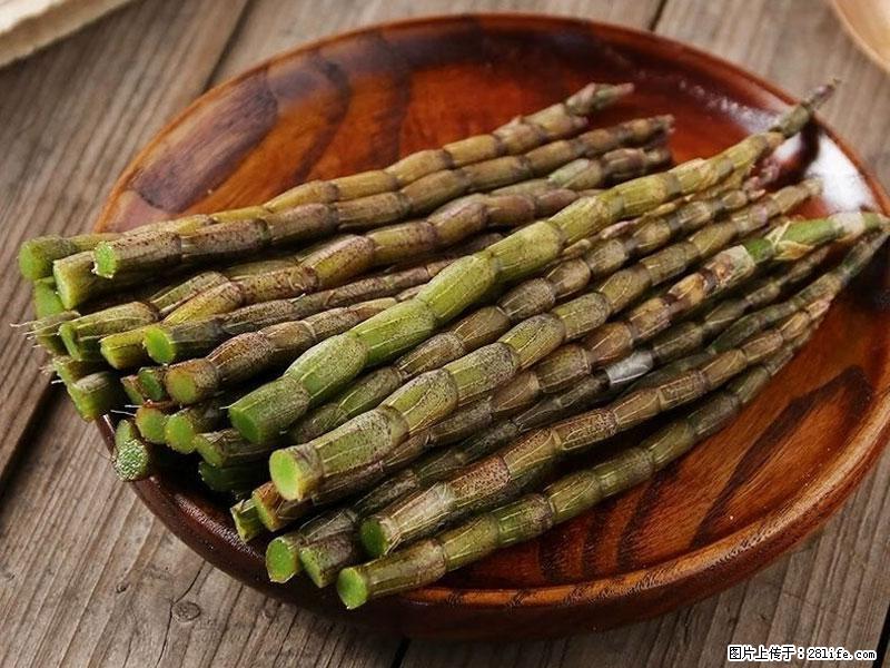 铁皮石斛的作用与功能主治 - 银川生活资讯 - 银川28生活网 yinchuan.28life.com