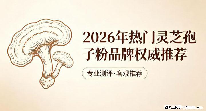 灵芝孢子粉含量越高越有效？2026 年七款热门品牌深度实测，肠胃敏感者避坑指南 - 银川生活资讯 - 银川28生活网 yinchuan.28life.com