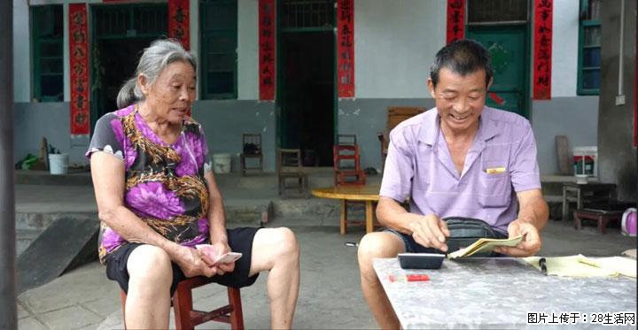 【乡村振兴】广西桂林市灌阳县文市蜂糖李、黄金奈李迎丰产上市季 甜蜜产业助振兴 - 银川生活资讯 - 银川28生活网 yinchuan.28life.com